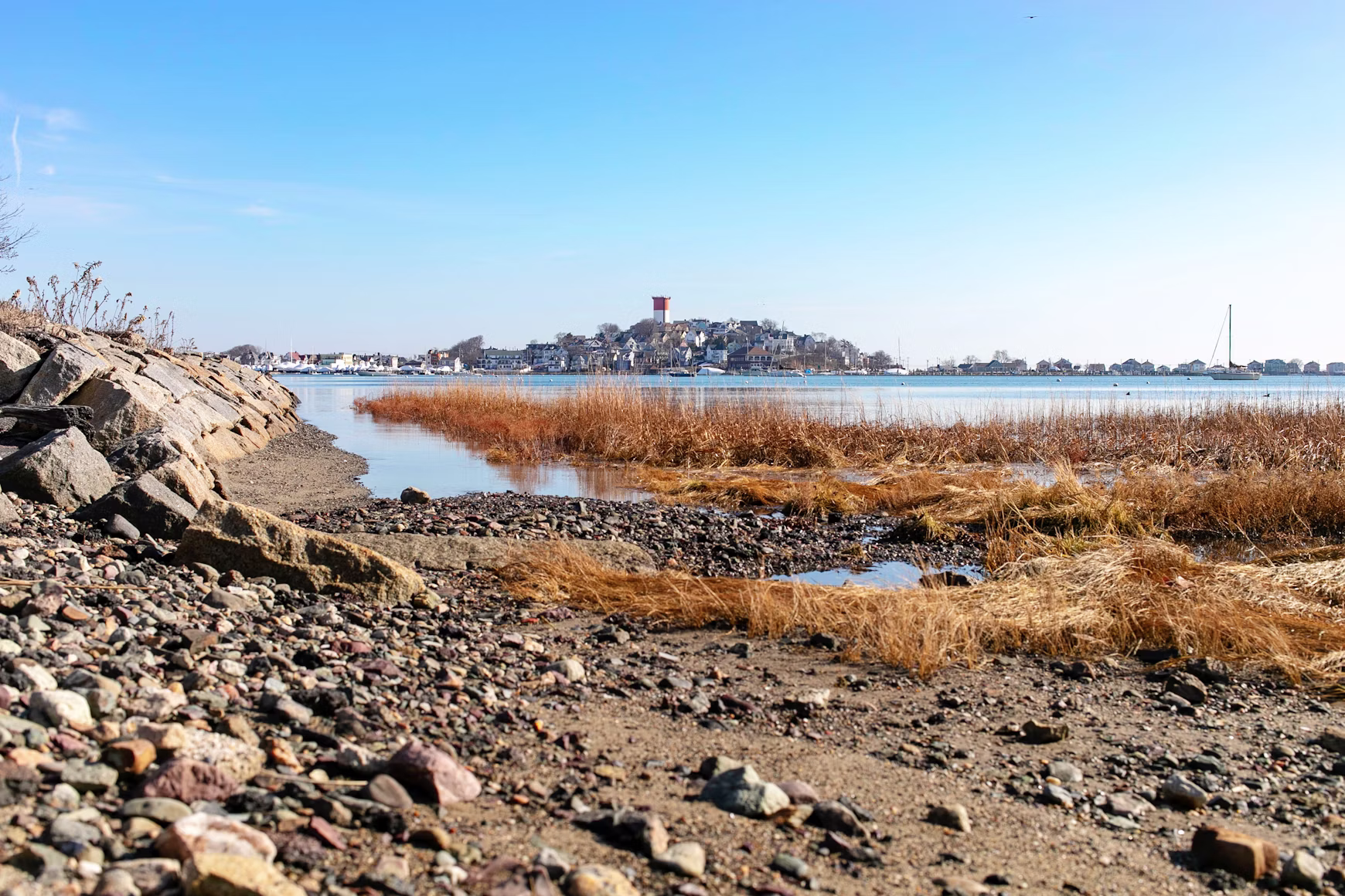 Boston landscape
